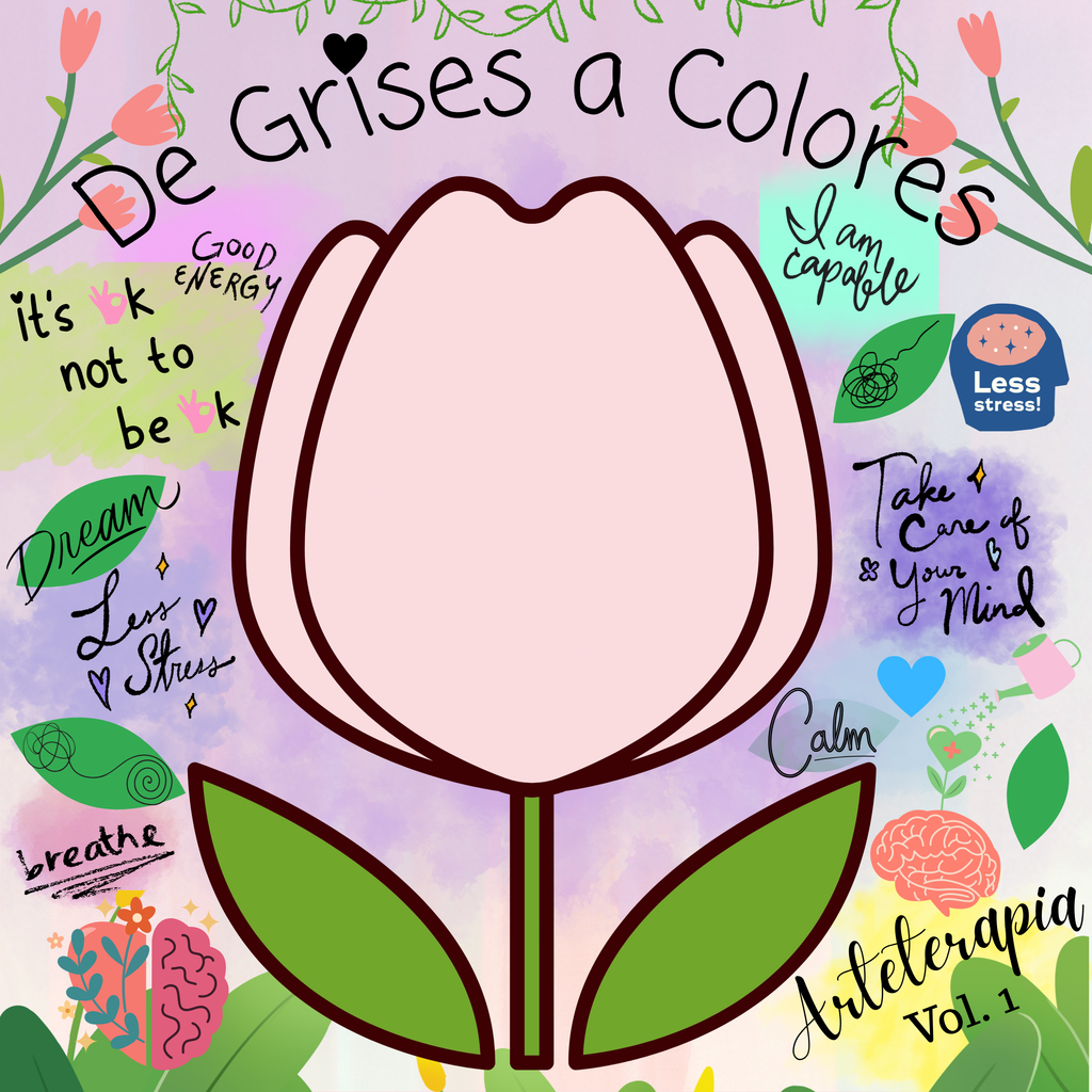 RIFA DE GRISES A COLORES